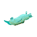 Aquamarine sea slug