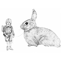 Nene y Conejo